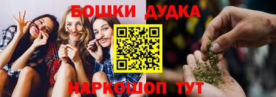 стаф Камень-на-Оби