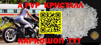 стаф Камень-на-Оби